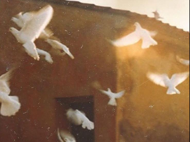 Символика трансформации и свободы